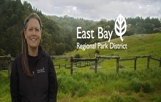 East Bay Regional Park District in Transitional Phase as Acting General Manager Steps In Following Landreth's Resignation