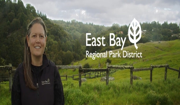 East Bay Regional Park District in Transitional Phase as Acting General Manager Steps In Following Landreth's Resignation
