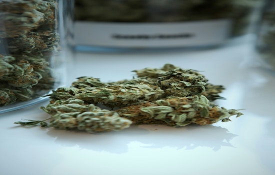 Cannabis Marketed in SF Shops For Pain And Sleep Despite Lack of Clinical Evidence: UCSF