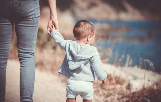 Indiana Amplifies Support for Adoption, State Legislators Aim to Boost Tax Credits and Streamline Legal Processes During National Adoption Month