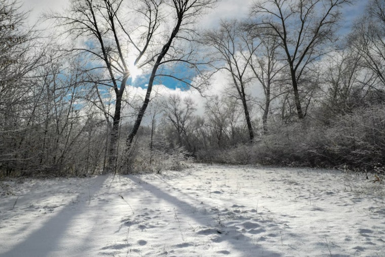 Indianapolis Braces for Gusty Winds and Looming Snow as Winter Weather Persists