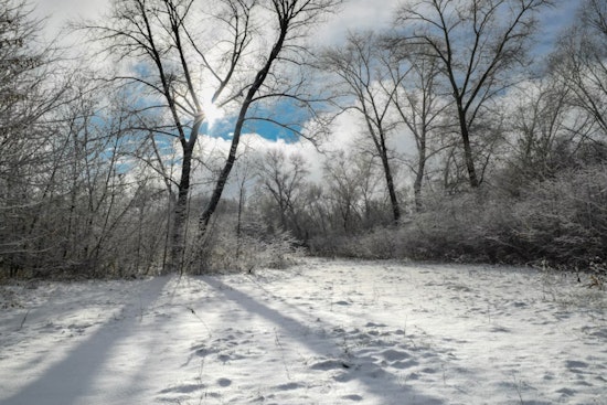 Indianapolis Braces for Gusty Winds and Looming Snow as Winter Weather Persists
