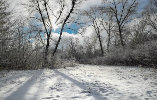 Indianapolis Braces for Gusty Winds and Looming Snow as Winter Weather Persists