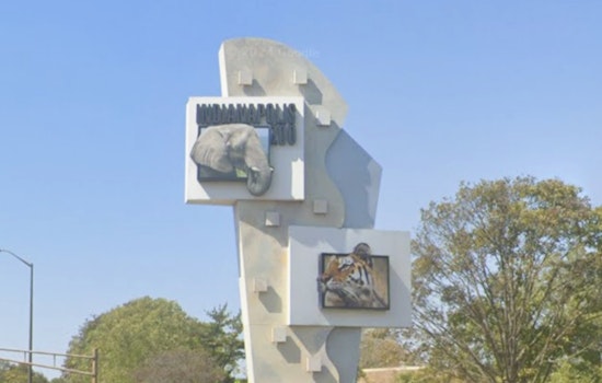 Indianapolis Zoo to Dismantle City's Last Roller Coaster for New Exhibit Space