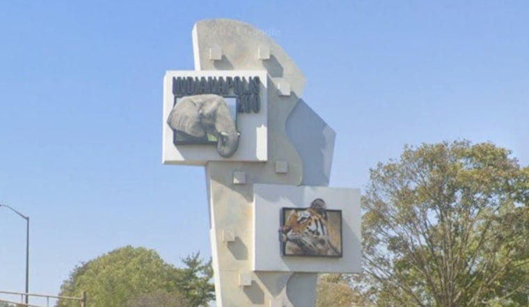 Indianapolis Zoo to Dismantle City's Last Roller Coaster for New Exhibit Space