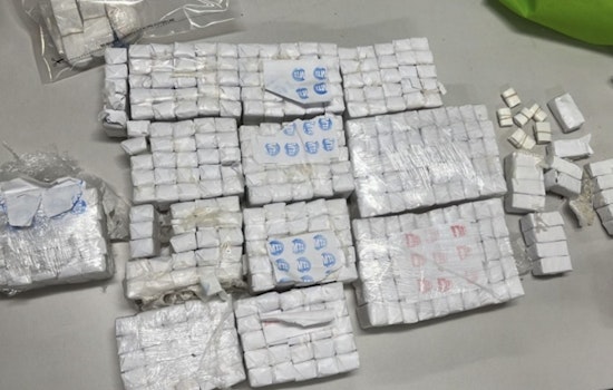 Inwood Smoke Shop Raided as Two Men Are Charged with Narcotics Trafficking and Six Drug Mills Are Dismantled in New York Sting Operation