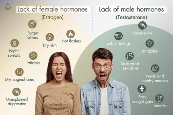 Jacksonville Health Advisory Highlights Challenges and Signs of Hormonal Shifts in Men and Women