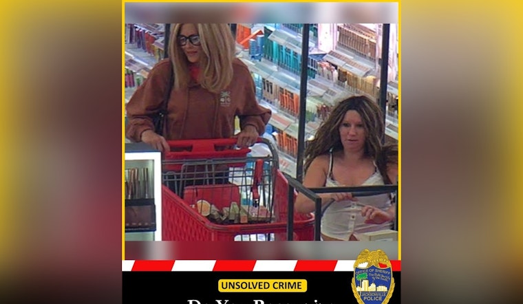 Jacksonville Sheriff's Office Seeks Public Help to Identify Suspects in Regency Department Store Shoplifting Case