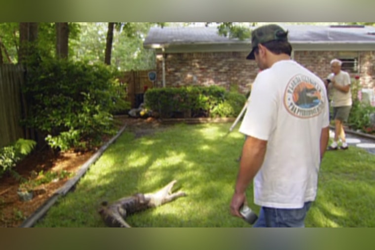 Jacksonville Sheriff’s Office Set to Appear on COPS Showcasing Everything from Gator Wrangling to Beat Patrols