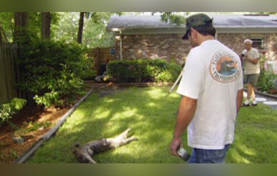 Jacksonville Sheriff’s Office Set to Appear on COPS Showcasing Everything from Gator Wrangling to Beat Patrols
