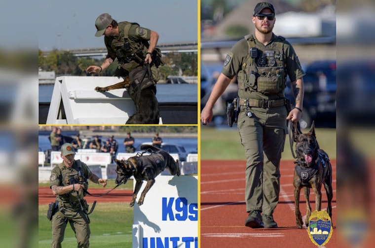 Jacksonville Sheriff's Office's K9 Duo Named Fan Favorite at Law Enforcement K9 Competition