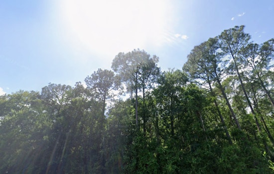 Jacksonville to Enjoy Pleasant Weather with Sunny Skies and Steady Temperatures, Says NWS Forecast
