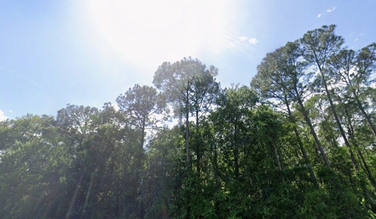 Jacksonville to Enjoy Pleasant Weather with Sunny Skies and Steady Temperatures, Says NWS Forecast