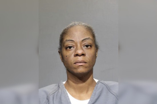 Jacksonville Woman Charged with Felony Animal Cruelty in Death of Great Dane