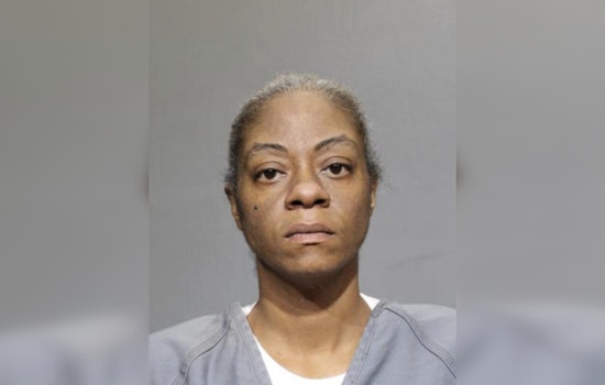 Jacksonville Woman Charged with Felony Animal Cruelty in Death of Great Dane