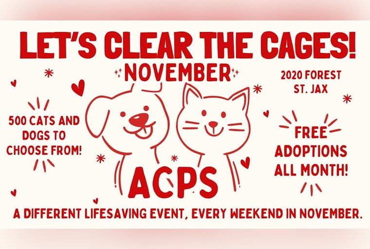 Jacksonville's "Clear the Cages" Initiative Aims to Find Homes for 450 Pets with Adoption Fees Waived in November