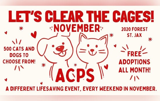Jacksonville's "Clear the Cages" Initiative Aims to Find Homes for 450 Pets with Adoption Fees Waived in November
