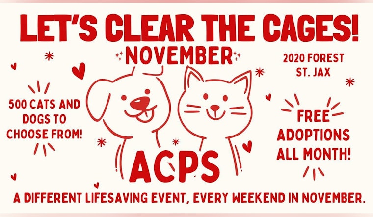 Jacksonville's "Clear the Cages" Initiative Aims to Find Homes for 450 Pets with Adoption Fees Waived in November