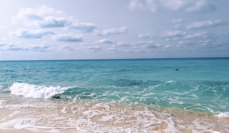 Kailua Bay Benched After Bacteria Spike Near Marine Base Outfall