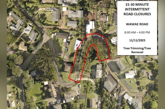 Kalāheo Traffic Alert, Emergency Tree Trimming to Close Wawae Road on November 11