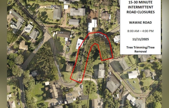 Kalāheo Traffic Alert, Emergency Tree Trimming to Close Wawae Road on November 11