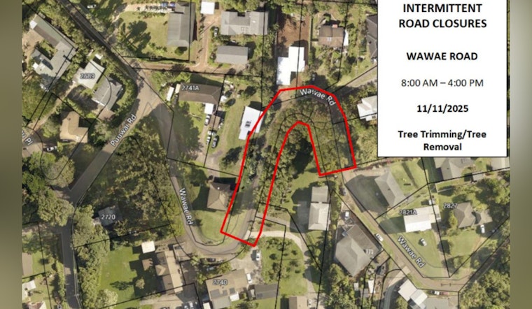 Kalāheo Traffic Alert, Emergency Tree Trimming to Close Wawae Road on November 11