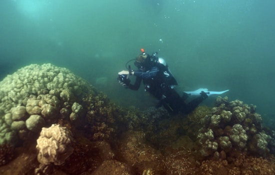 Kauaʻi Launches First Coral Restoration Nursery to Bolster Reef Health and Marine Ecosystems