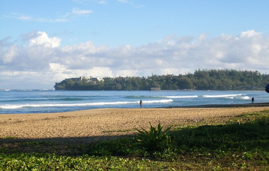 Kaua‘i Officials Issue Swimming Advisory for Hanalei Bay Amidst Tiger Shark Sighting