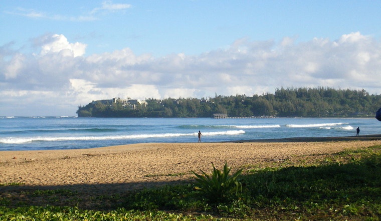 Kaua‘i Officials Issue Swimming Advisory for Hanalei Bay Amidst Tiger Shark Sighting