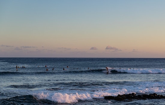 Kaua‘i Officials Temporarily Close Po‘ipū Beach to Swimmers After Shark Sighting
