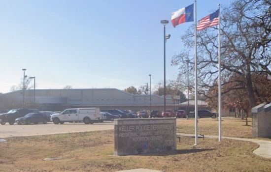 Keller Hosts Free Active Shooter Response Training for Civilians to "Avoid, Deny, Defend"