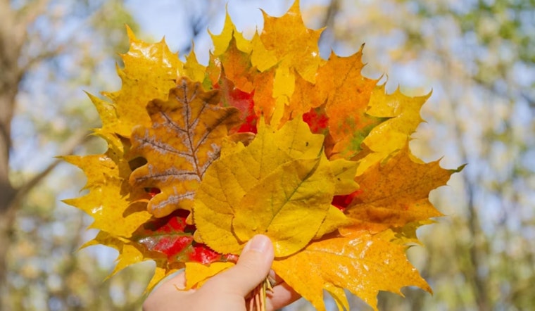 Kettering Announces Leaf Collection in District 5: Residents Advised to Prepare for Wednesday Pickup