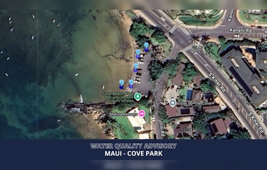 Kihei’s Cove Park Hit With Bacteria Alert As State Sounds Alarm