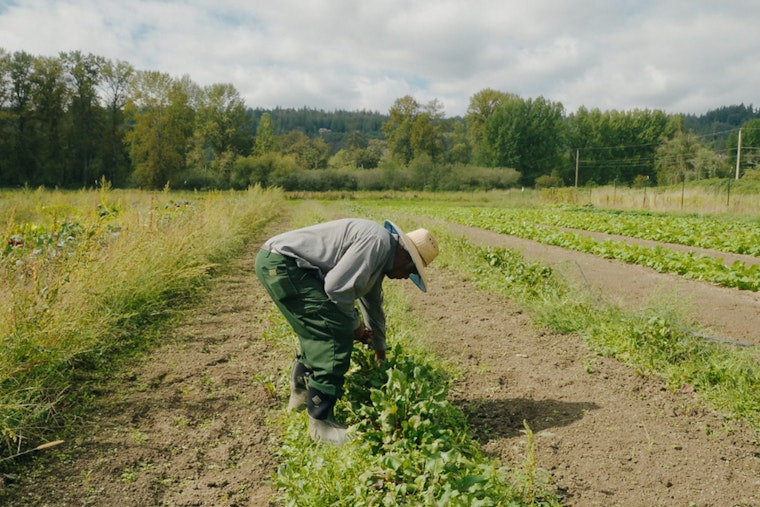 King County Revitalizes Local Food Initiative, Aiming for Equitable and Climate-Resilient Food System