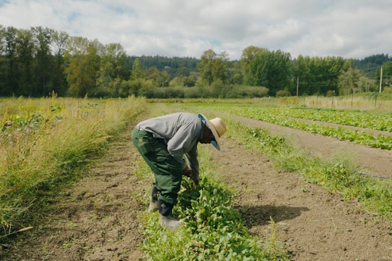 King County Revitalizes Local Food Initiative, Aiming for Equitable and Climate-Resilient Food System