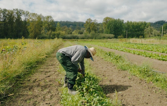 King County Revitalizes Local Food Initiative, Aiming for Equitable and Climate-Resilient Food System