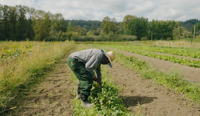 King County Revitalizes Local Food Initiative, Aiming for Equitable and Climate-Resilient Food System
