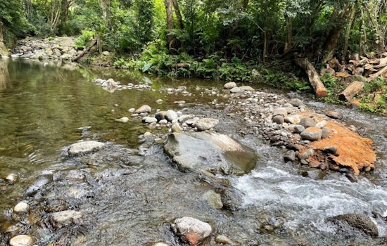 Lahaina Fire Fallout Ignites Fierce Brawl Over Maui Water Rights
