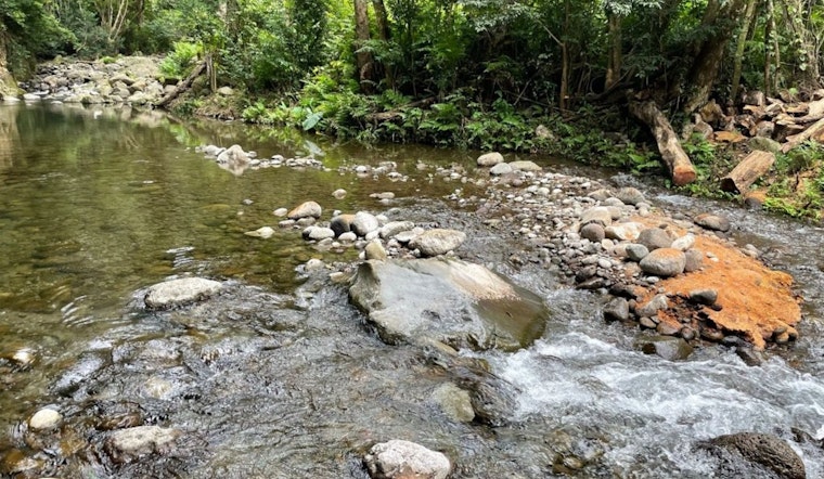 Lahaina Fire Fallout Ignites Fierce Brawl Over Maui Water Rights
