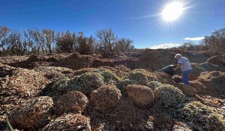 Lakewood, Colorado Encourages Residents to Recycle Autumn Leaves at City Greenhouse