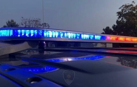 Las Cruces Teen Arrested on Murder, Aggravated Battery Charges Following Fatal Shooting at Party