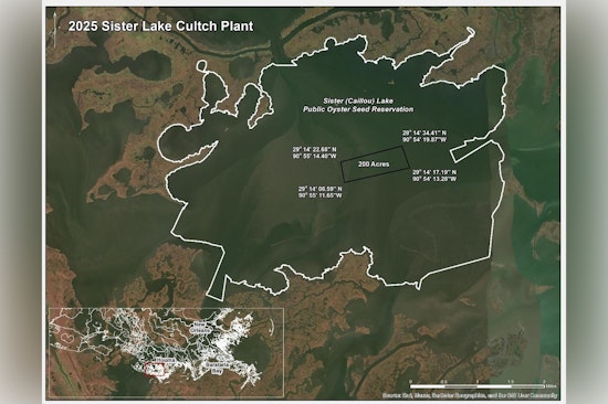 LDWF Completes New 200-Acre Oyster Reef in Sister Lake to Revitalize Marine Life and Boost Local Industry