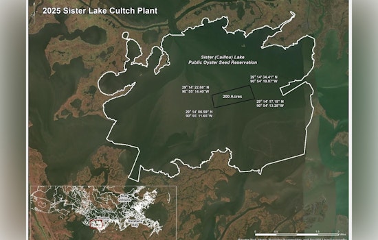LDWF Completes New 200-Acre Oyster Reef in Sister Lake to Revitalize Marine Life and Boost Local Industry