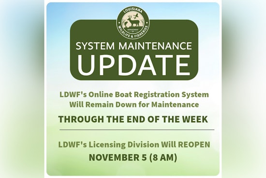 LDWF Online Boat Registration Renewal System Offline for Weekend Upgrades
