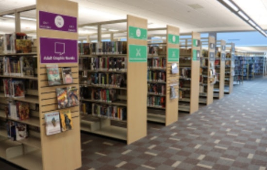 Lewisville Public Library Offers Free Crafting and Reading Activities for All Ages