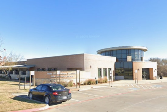 Lewisville's Gene Carey Animal Shelter Offers Free Pet Photos with Santa and Waives Adoption Fees for Large Dogs