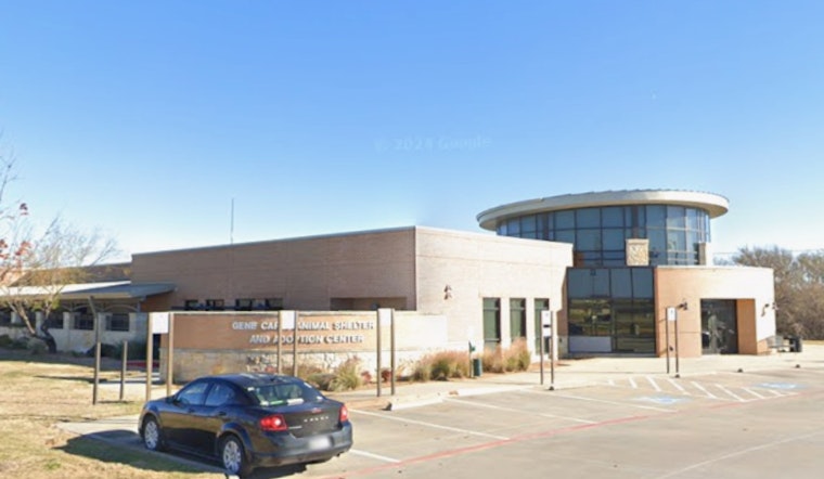 Lewisville's Gene Carey Animal Shelter Offers Free Pet Photos with Santa and Waives Adoption Fees for Large Dogs