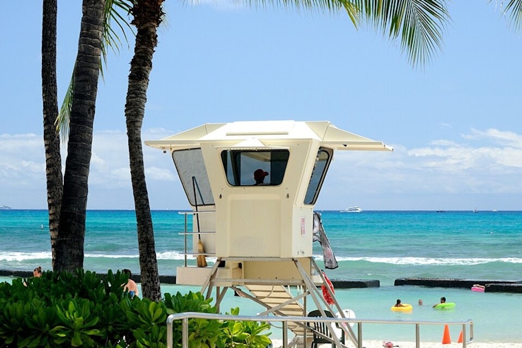 Lifeguard Boss Who Sparred With Mayor Back In Hunt For Honolulu Ocean Job
