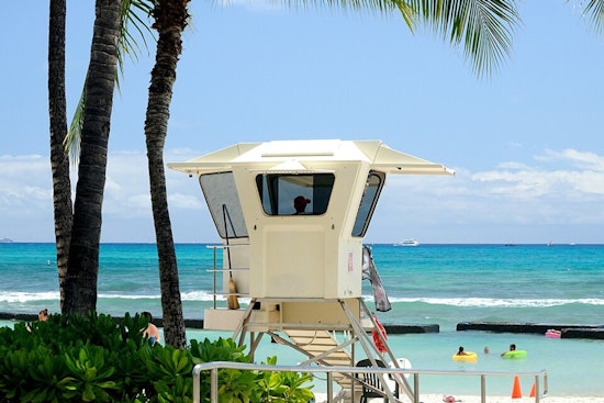 Lifeguard Boss Who Sparred With Mayor Back In Hunt For Honolulu Ocean Job