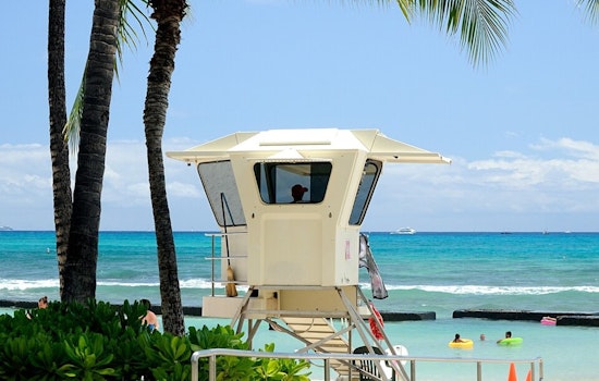 Lifeguard Boss Who Sparred With Mayor Back In Hunt For Honolulu Ocean Job